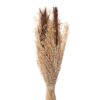 Droogboeket Vintage - Beige/Bruin