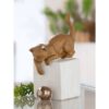 Spelend Katje Charlie - Liggend - Polyresin - Wit/Bruin - 11x7,5x18,5cm